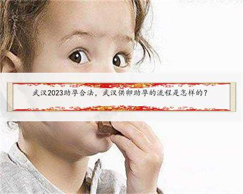 <strong>武汉2023助孕合法，武汉供卵助孕的流程是</strong>